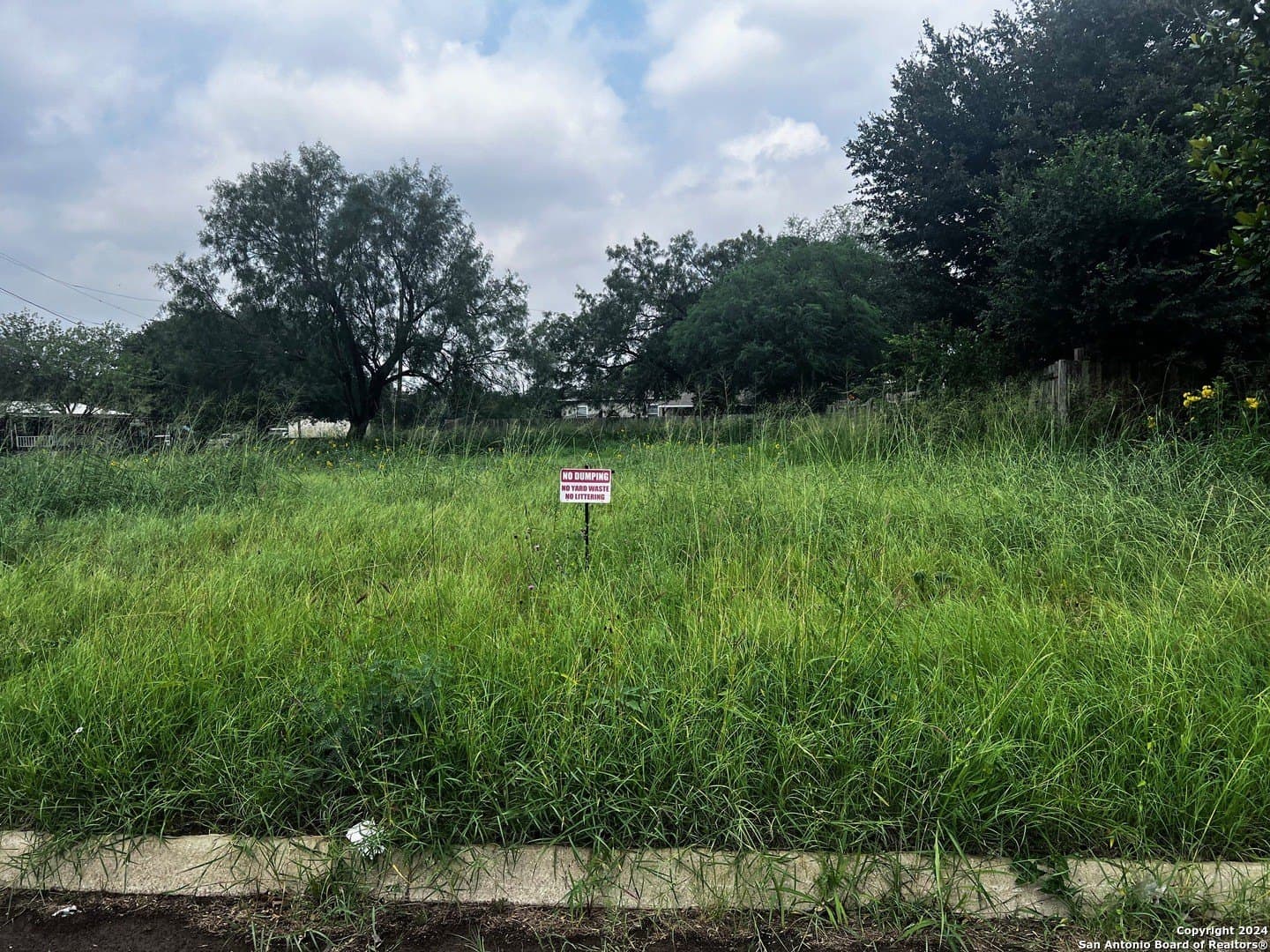 0.24 acres in Frio County - photo 8