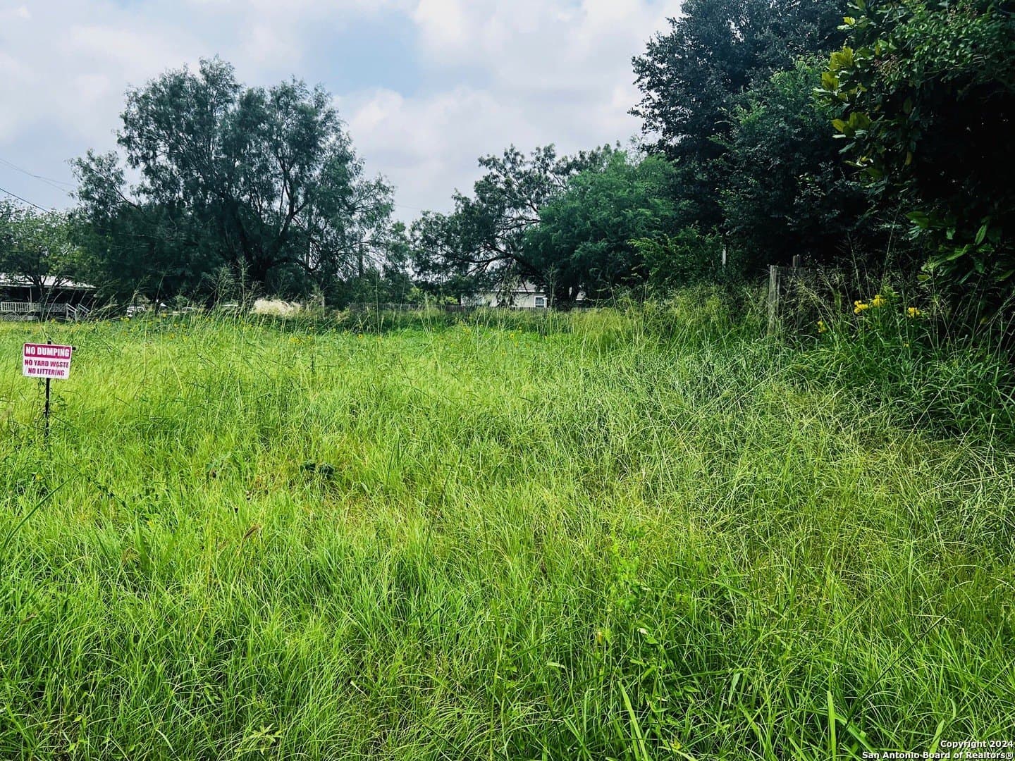 0.24 acres in Frio County - photo 5