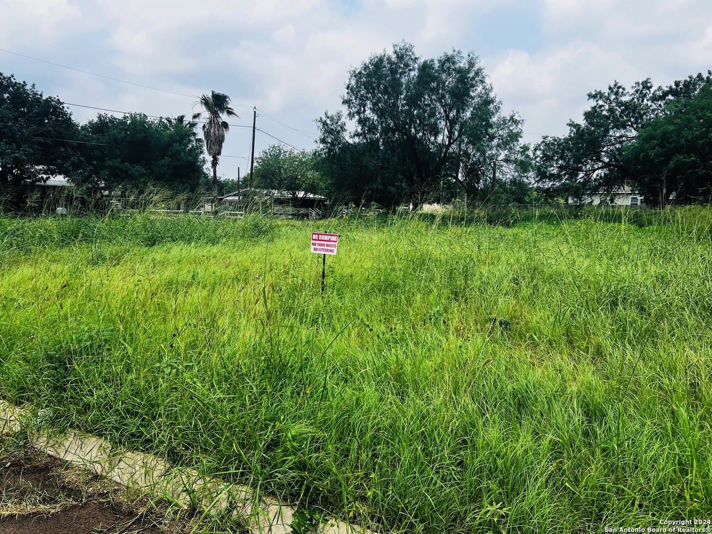 0.24 acres in Frio County - photo 7