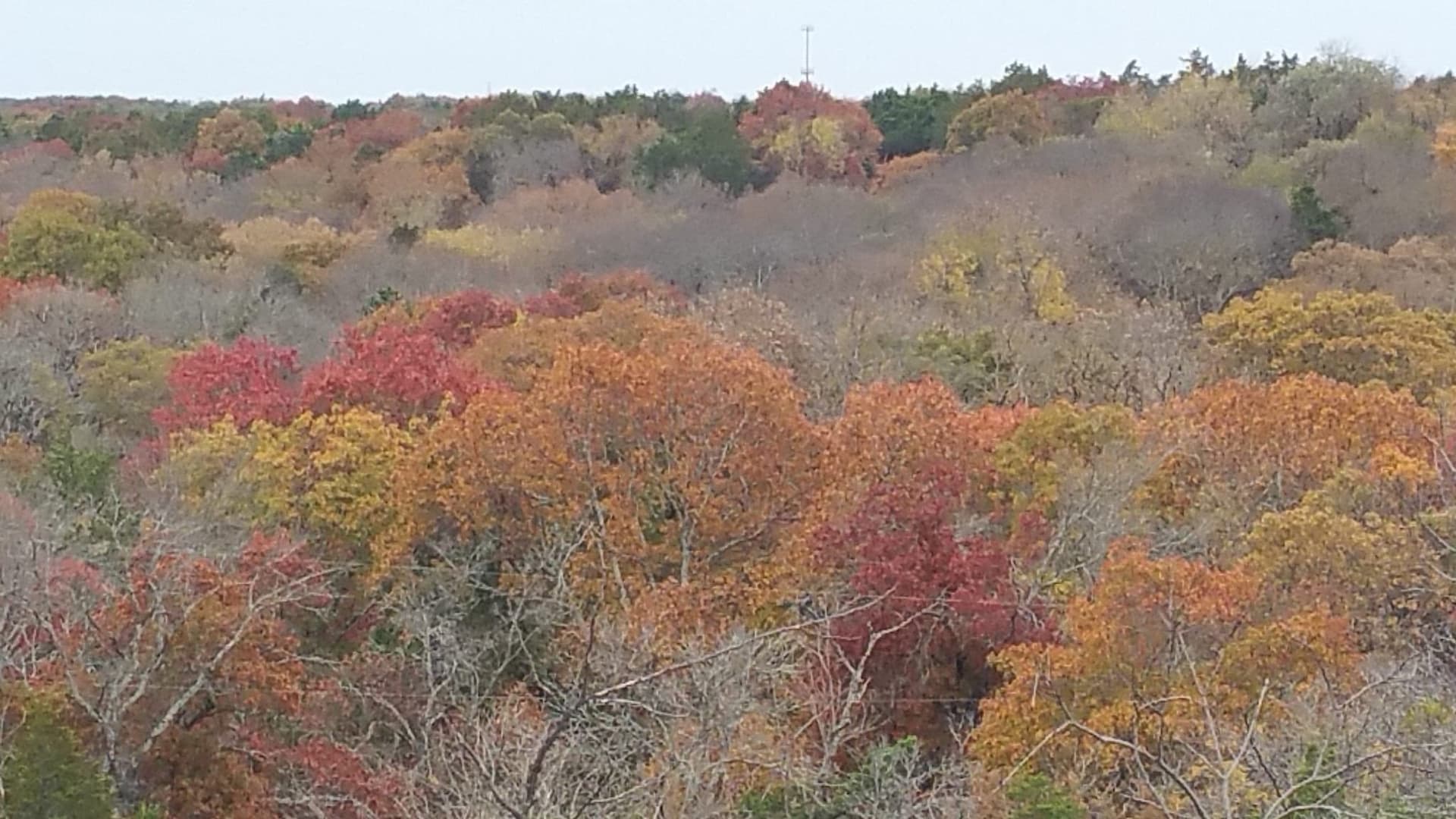 12.5 acres in Dallas County featured view