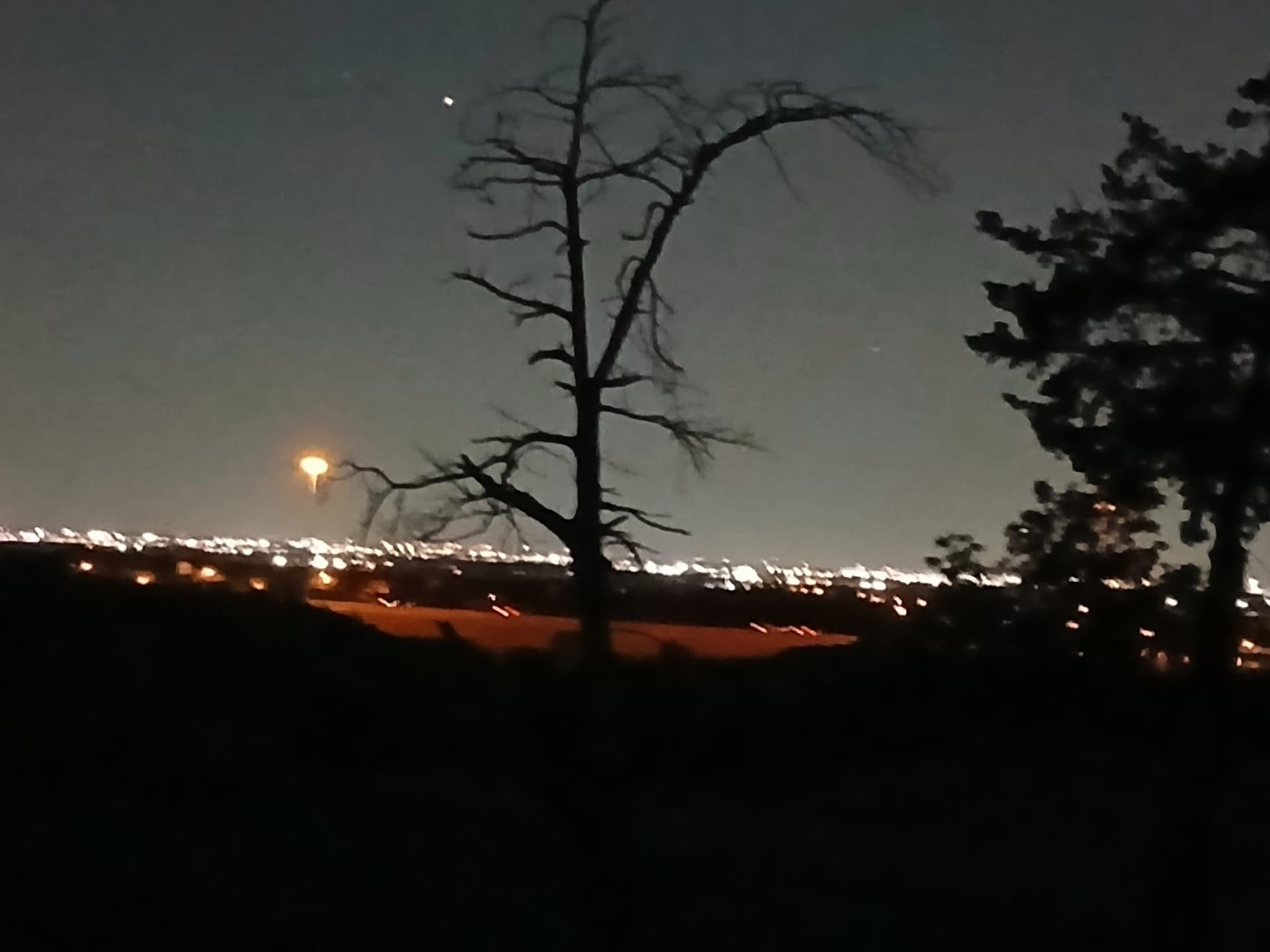12.5 acres in Dallas County gallery image 2