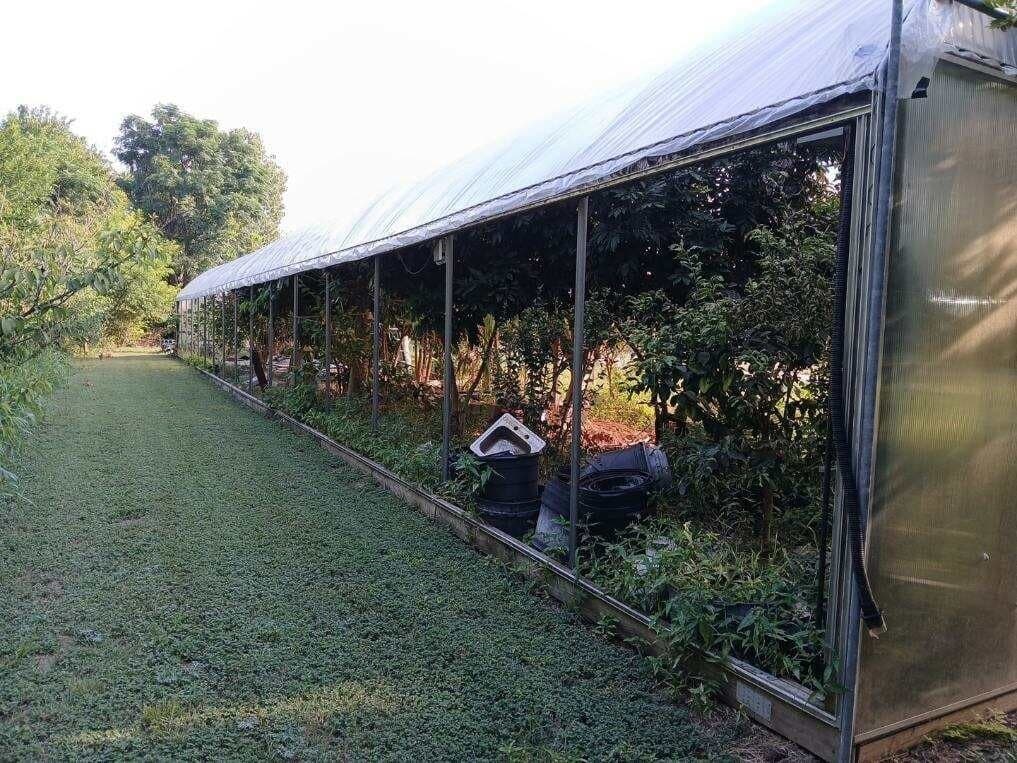 12.5 acres in Dallas County gallery image 4