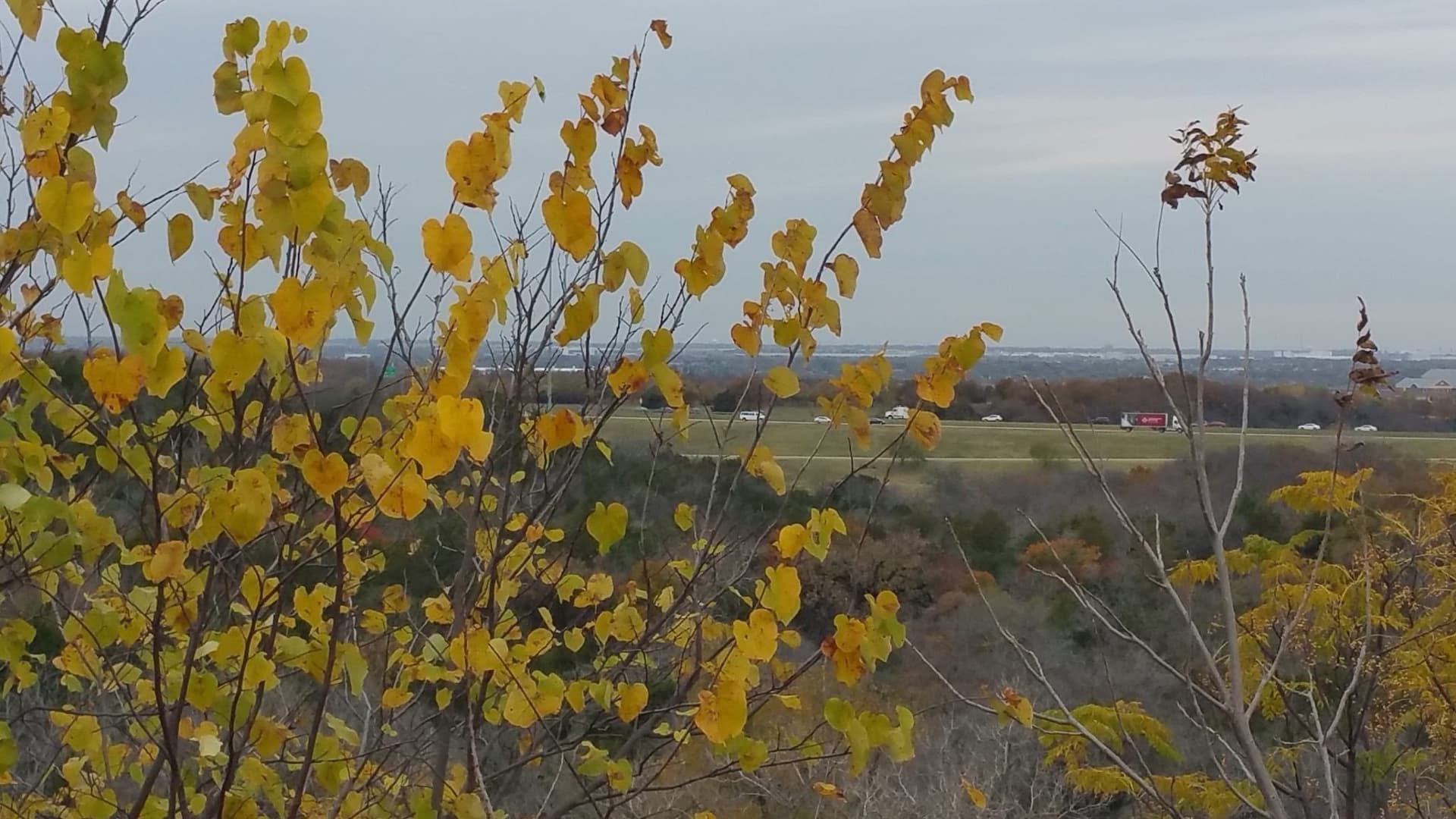 12.5 acres in Dallas County - photo 7