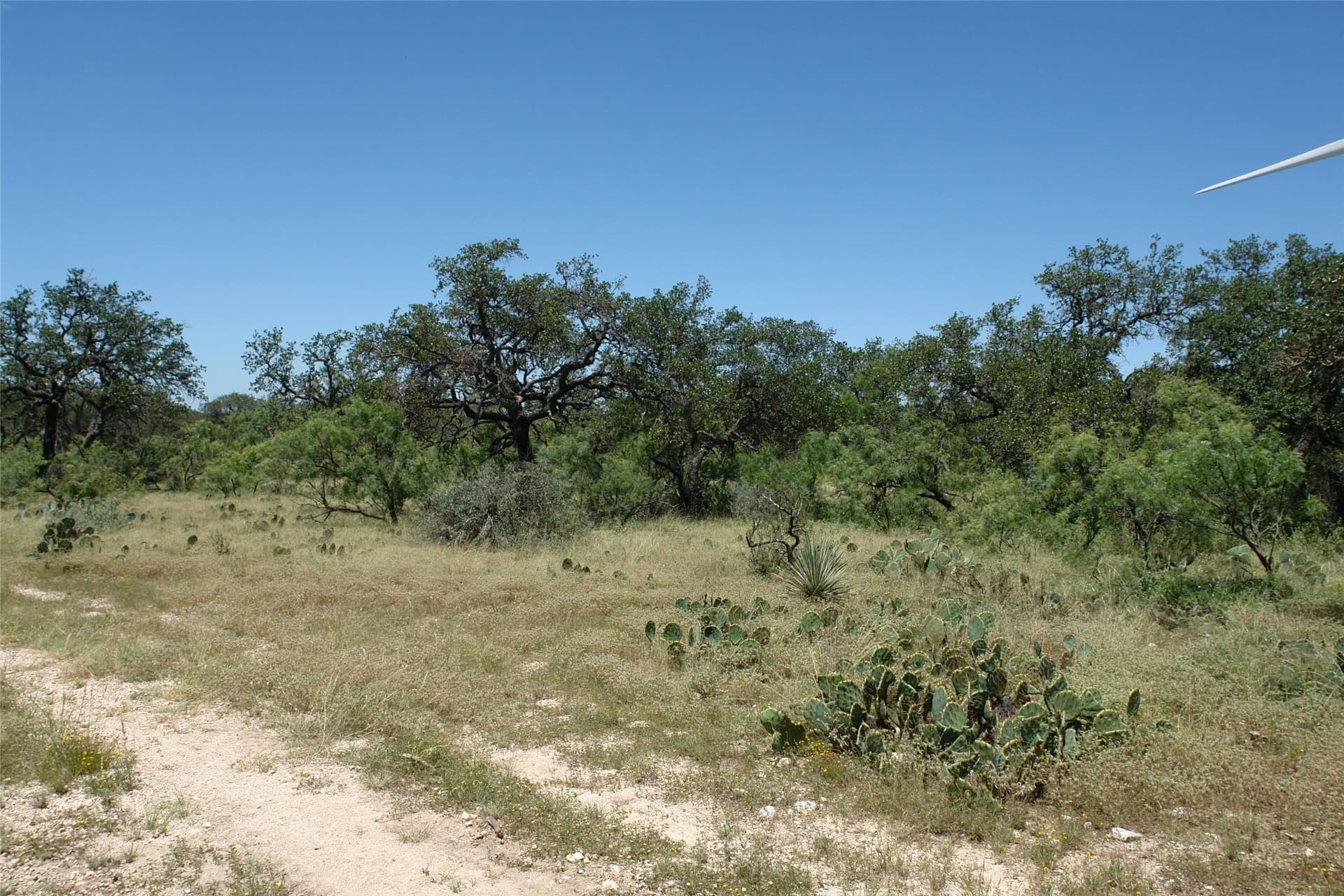 67 acres in McCulloch County - photo 11