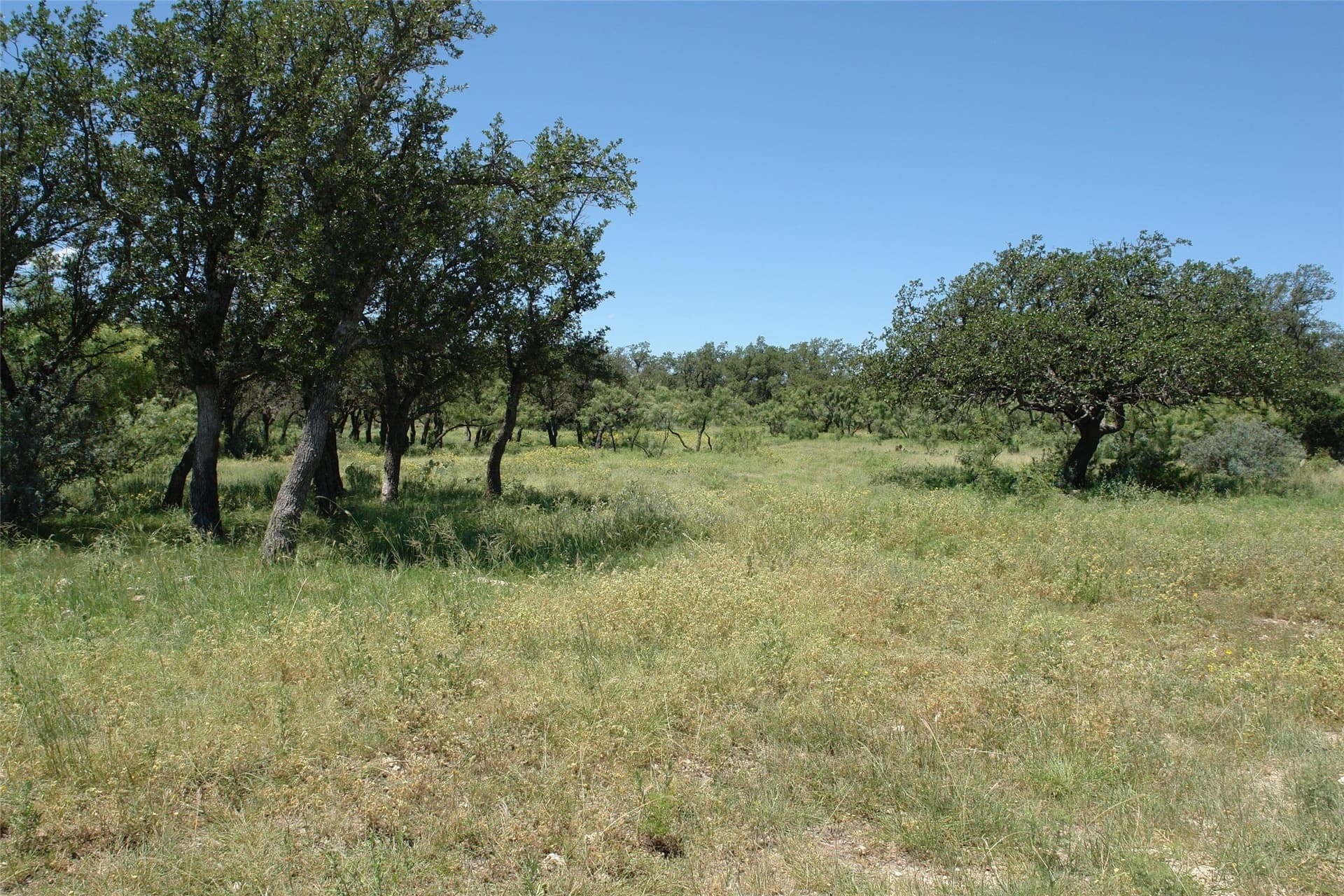 67 acres in McCulloch County - photo 4