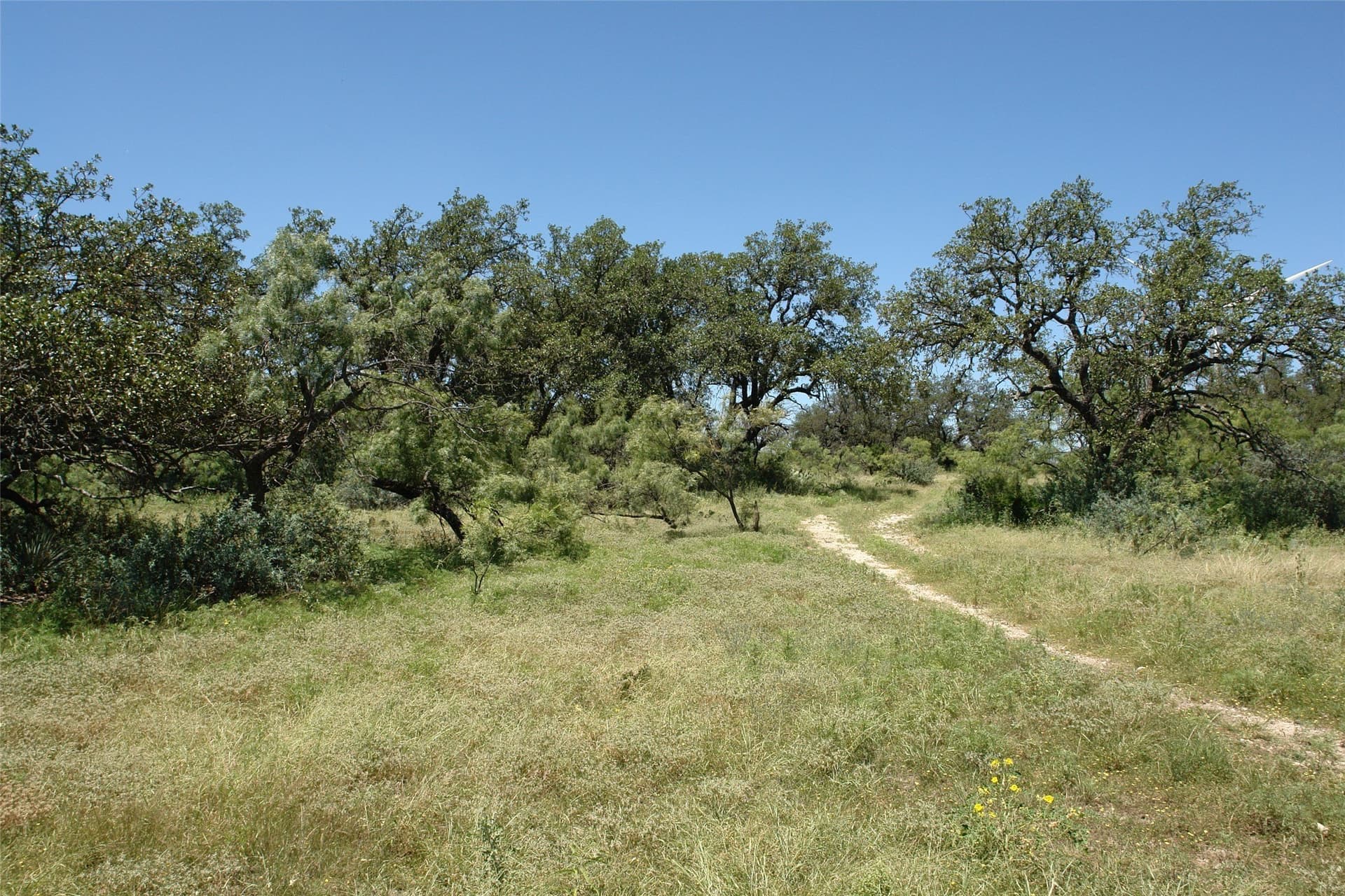 67 acres in McCulloch County - photo 6