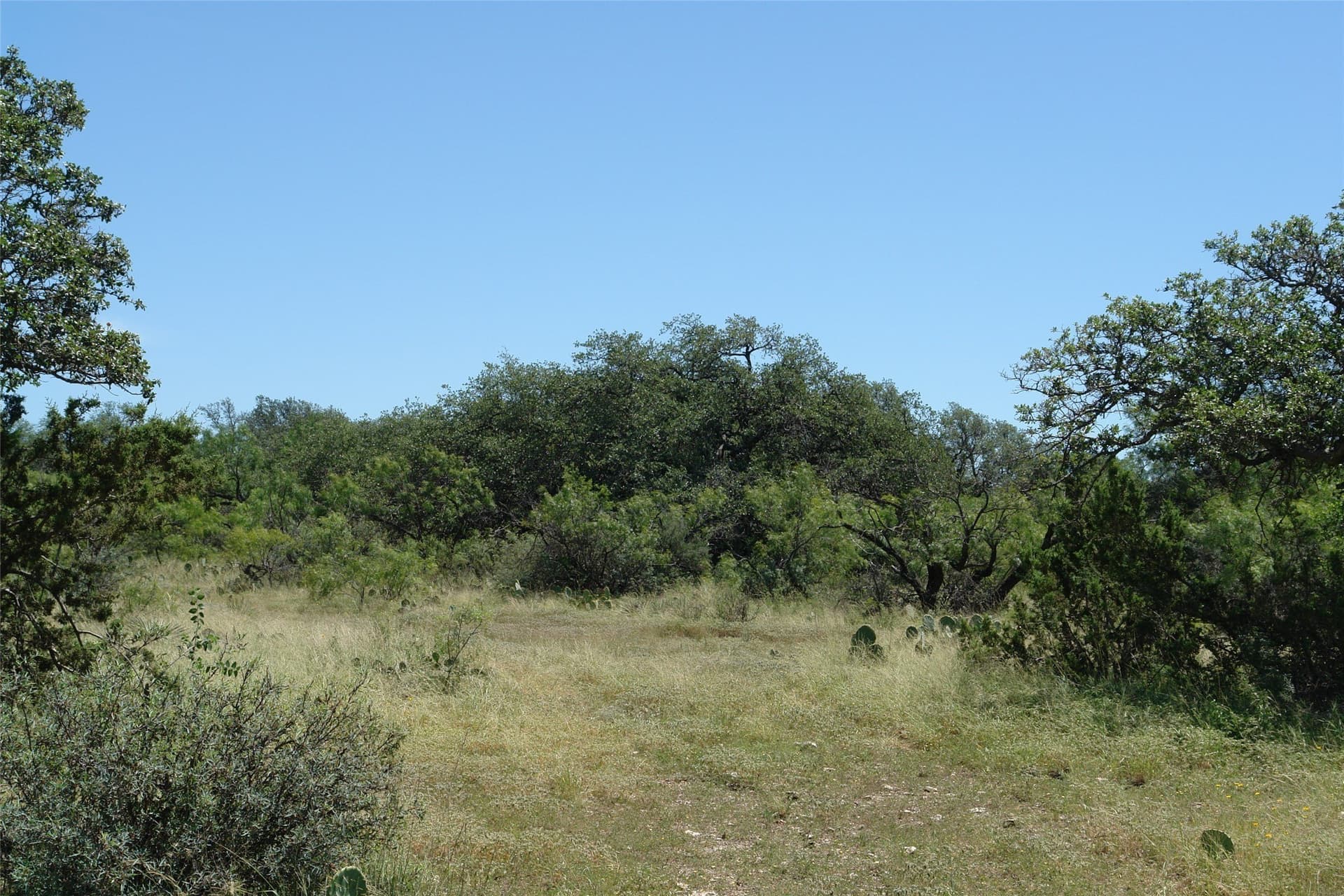 67 acres in McCulloch County - photo 2