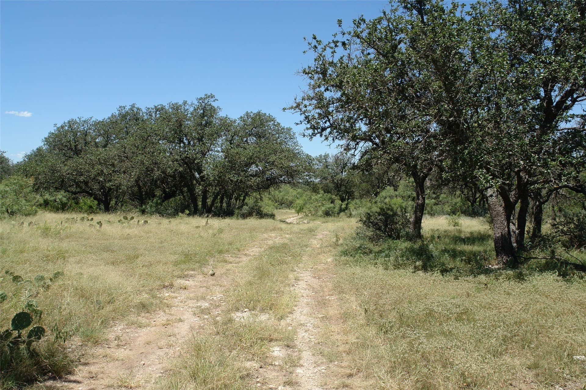 67 acres in McCulloch County - photo 9