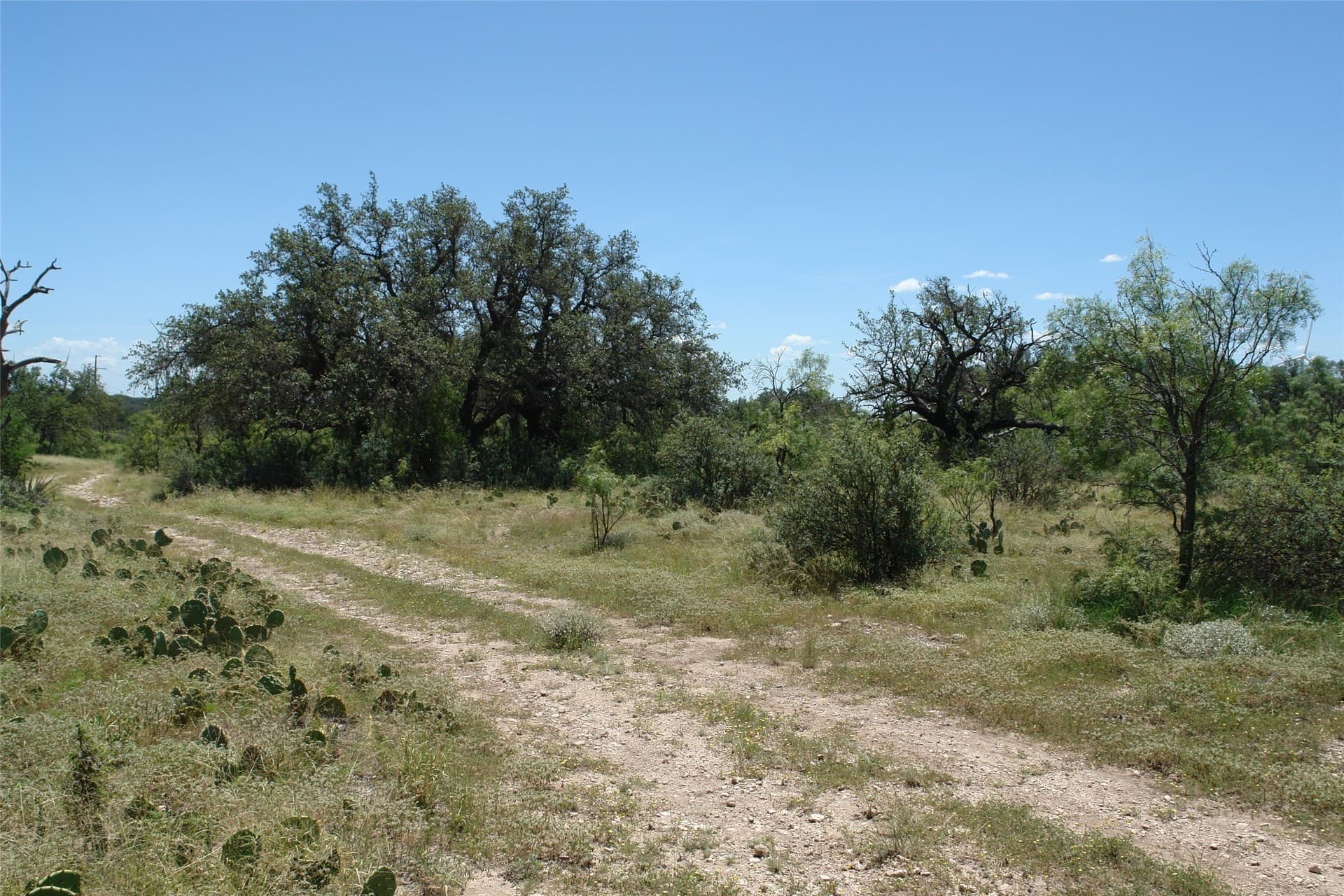 67 acres in McCulloch County - photo 5