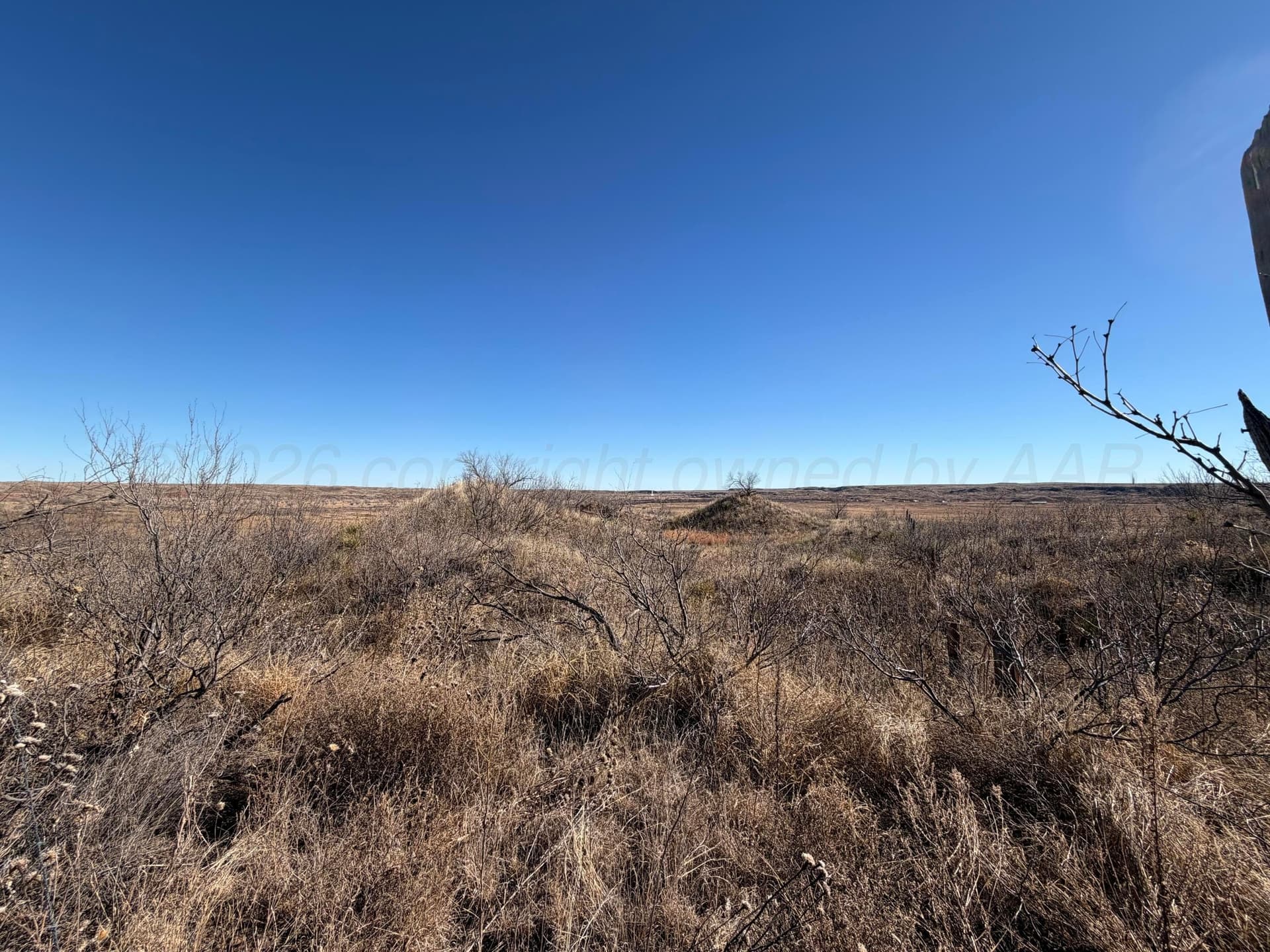 36.5 acres in Potter County gallery image 3