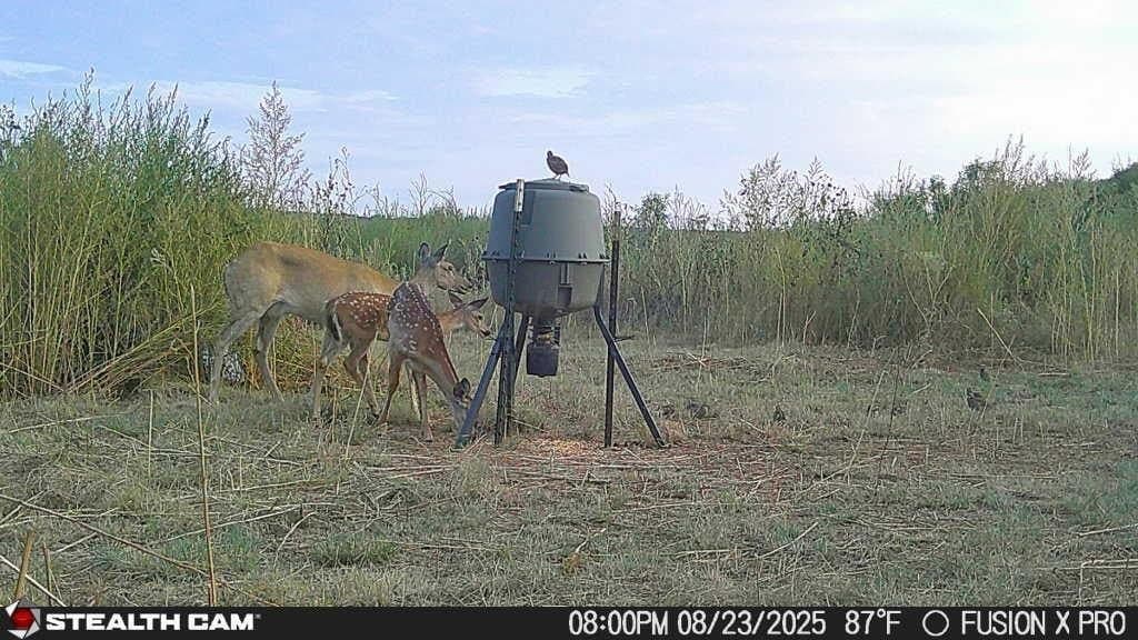 36.5 acres in Potter County gallery image 4