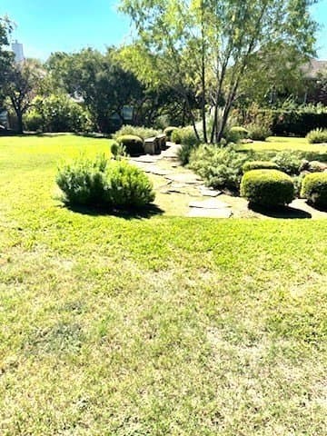 0.14 acres in Tarrant County - photo 11