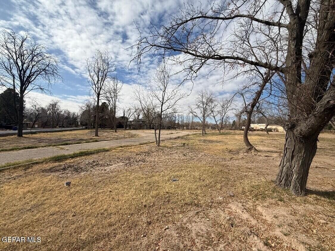 2.53 acres in El Paso County - photo 8