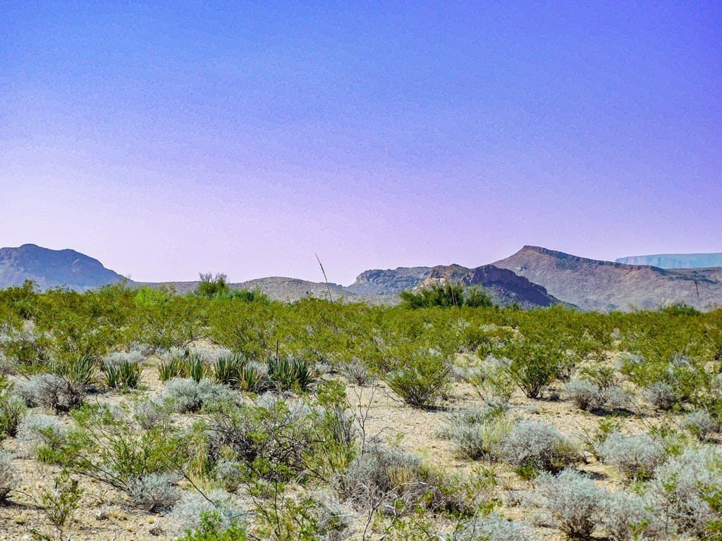 40 acres in Brewster County featured view