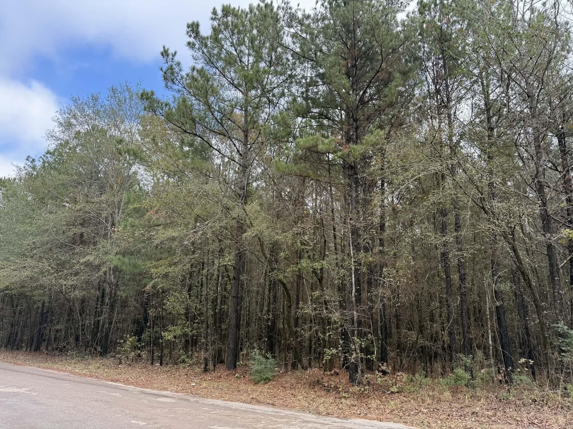 3.09 acres in Marion County