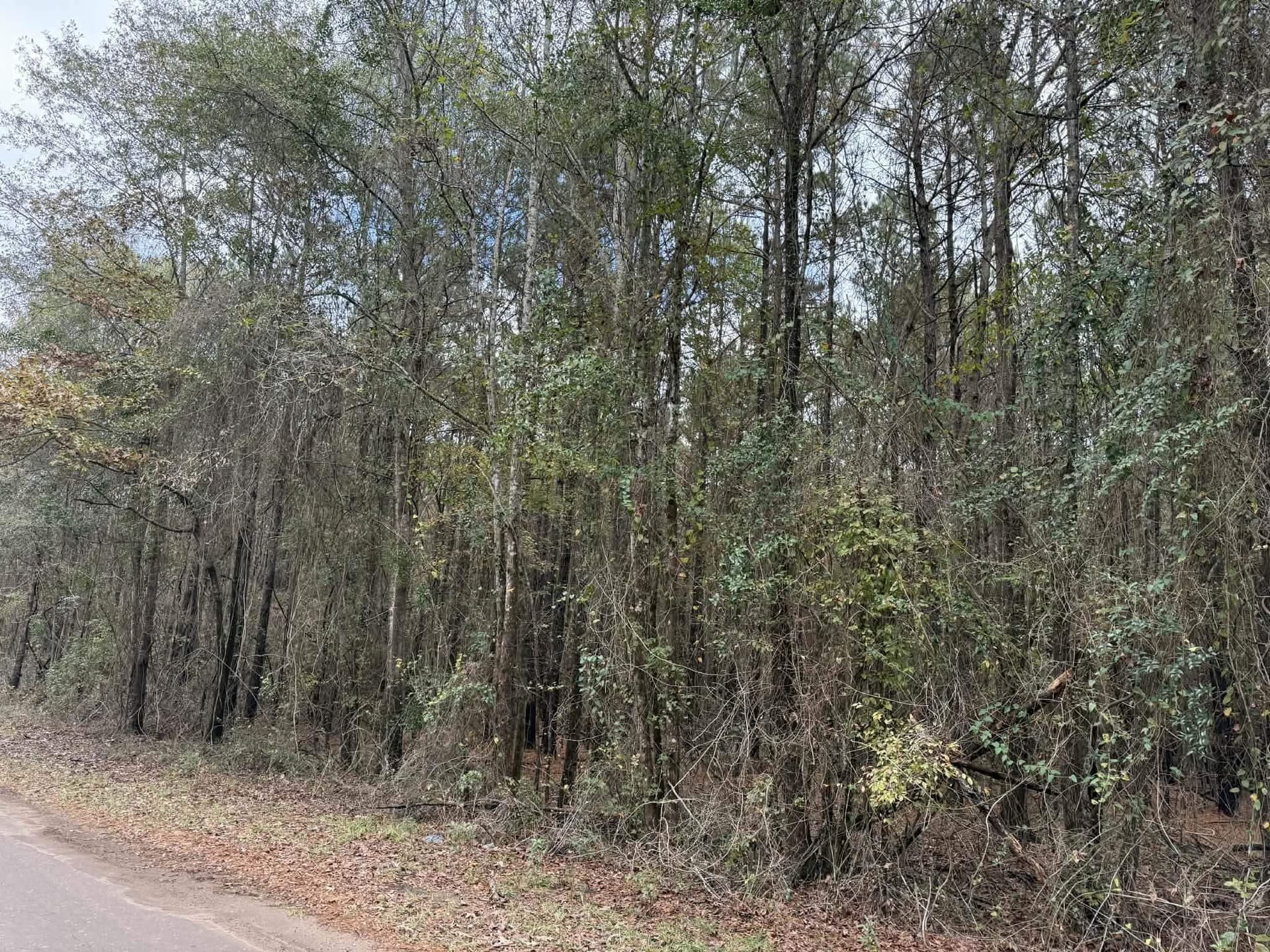 3.09 acres in Marion County gallery image 2