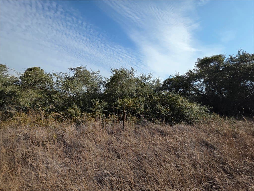 5 acres in San Patricio County gallery image 4