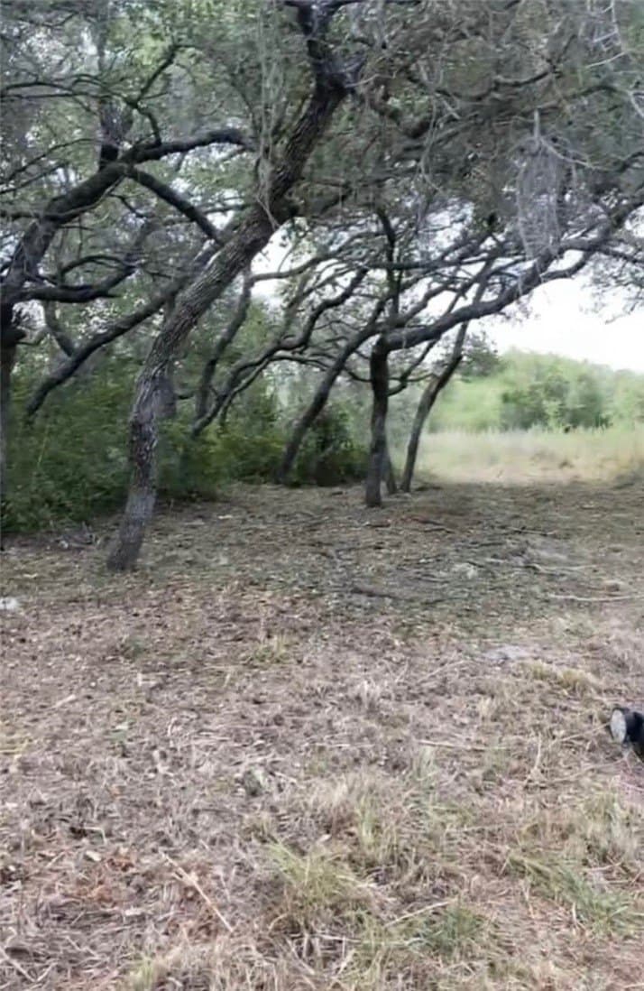 5 acres in San Patricio County featured view
