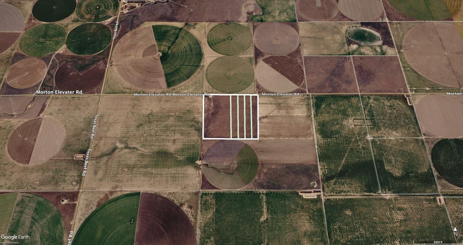 20 acres in Moore County gallery image 2