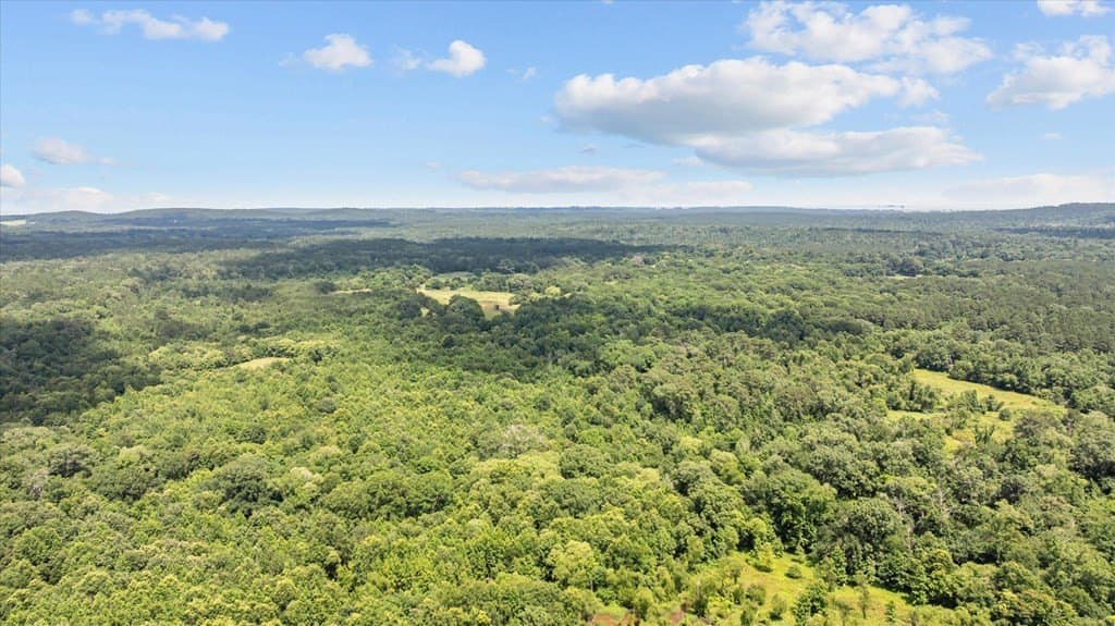 159.31 acres in Texas County gallery image 3