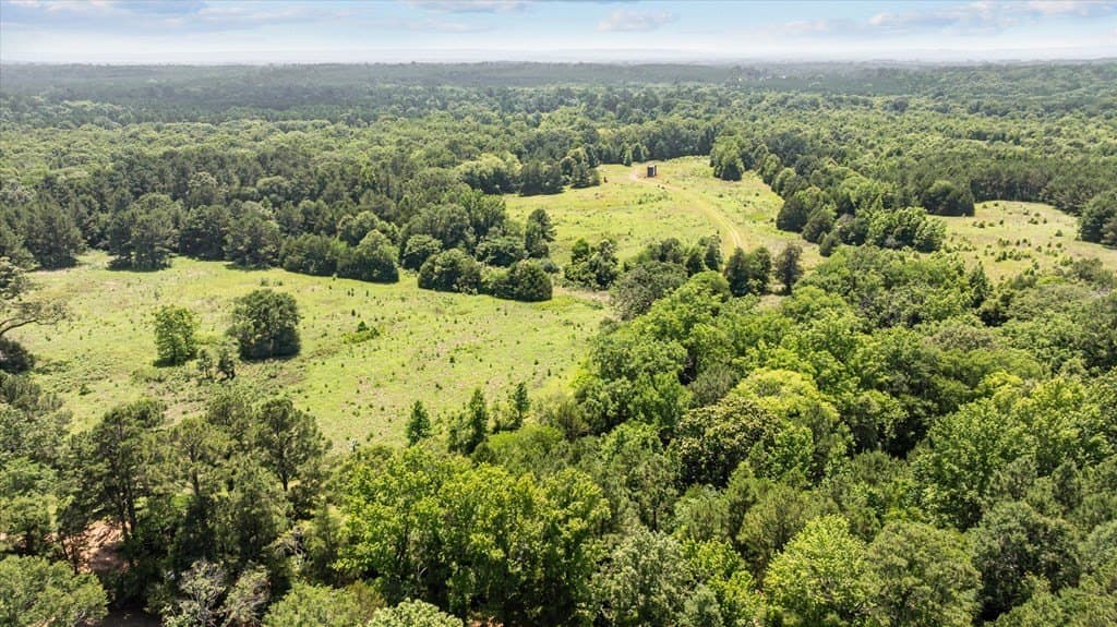 159.31 acres in Texas County featured view