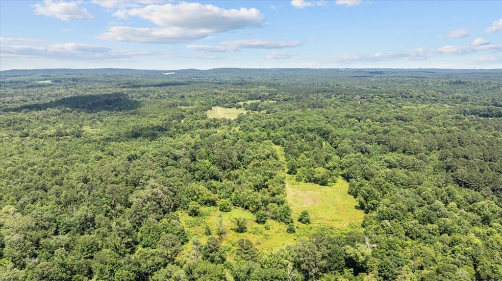 159.31 acres in Texas County gallery image 4