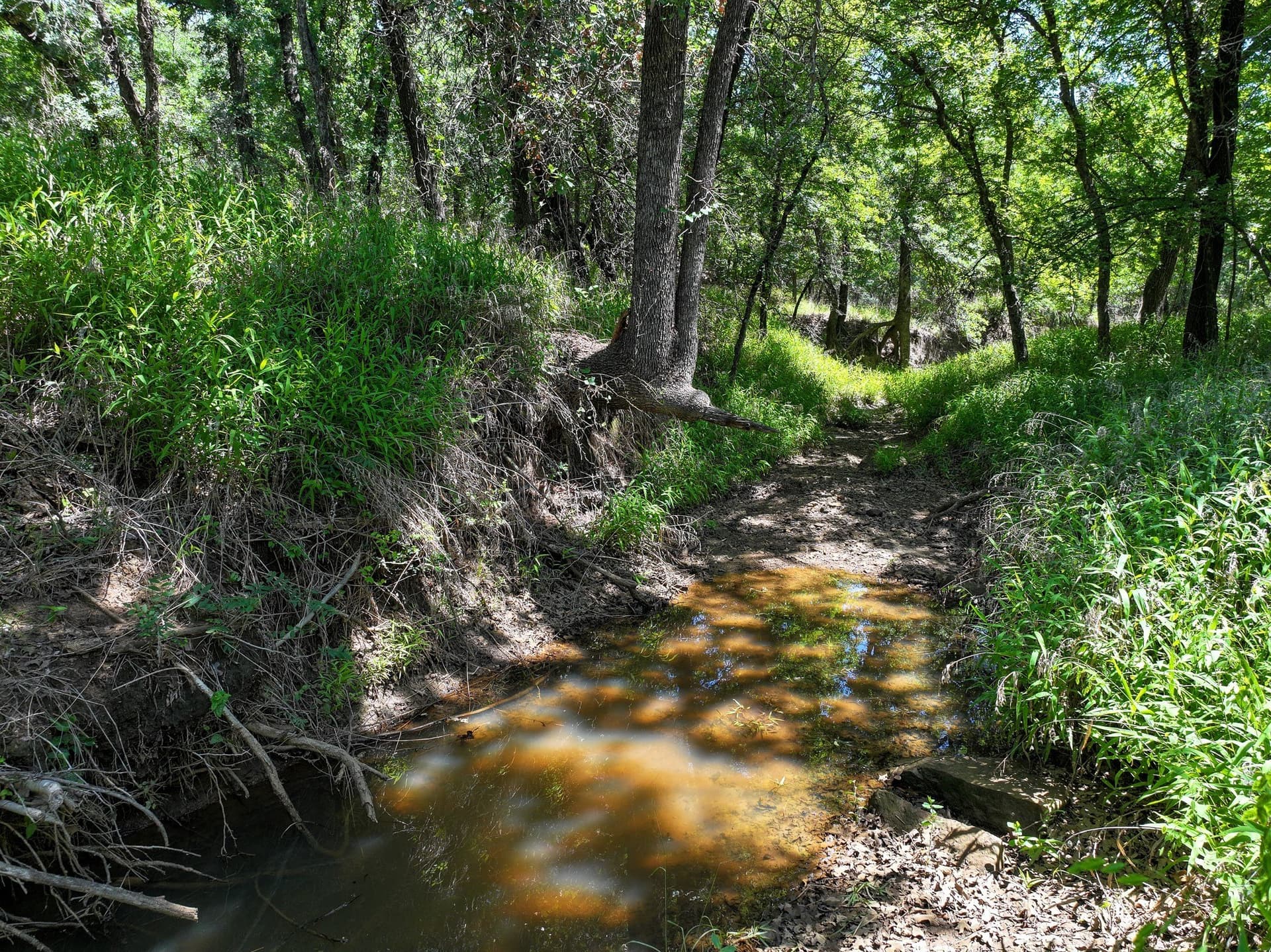 70.15 acres in Jack County - photo 7