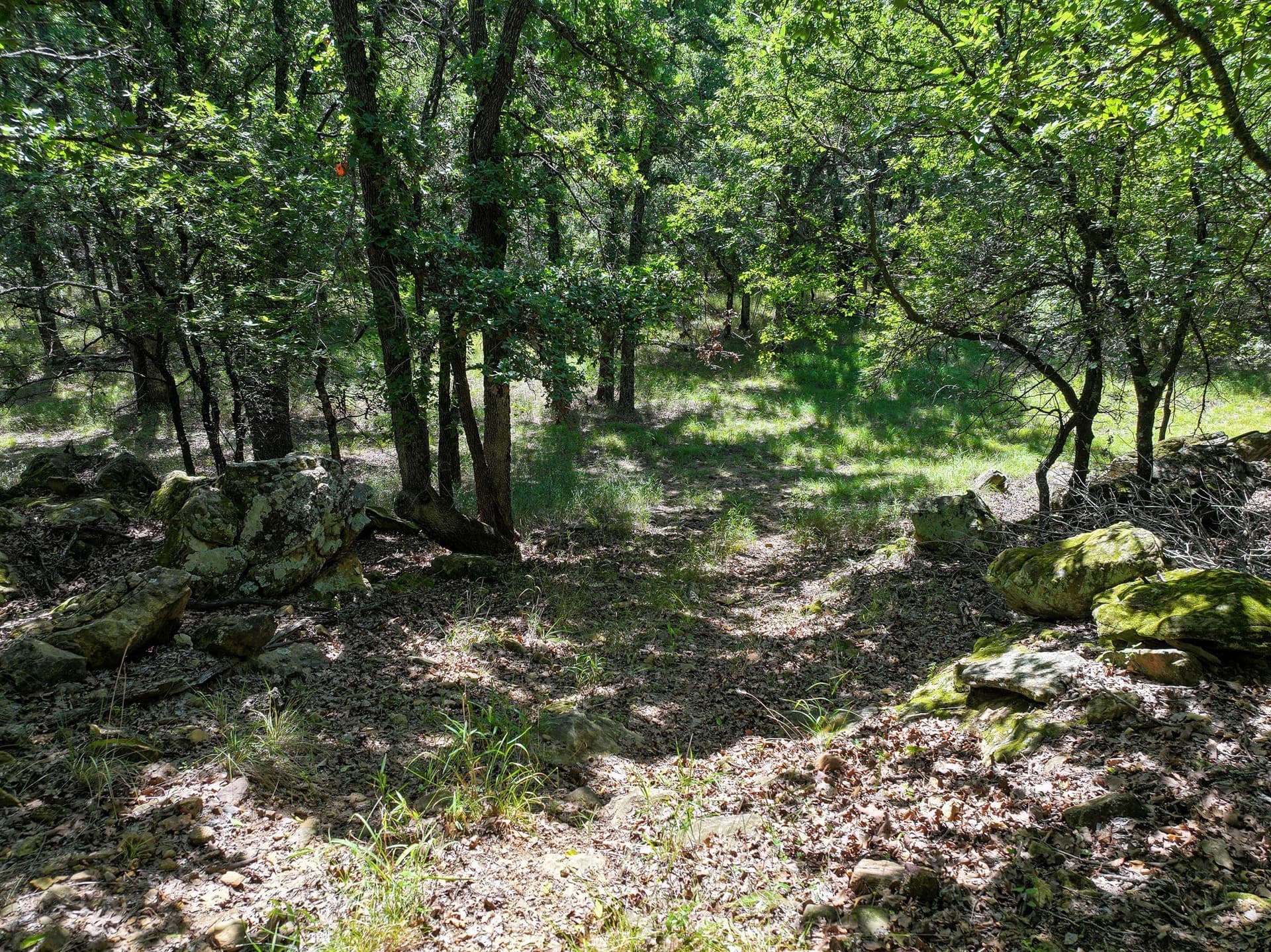 70.15 acres in Jack County - photo 16