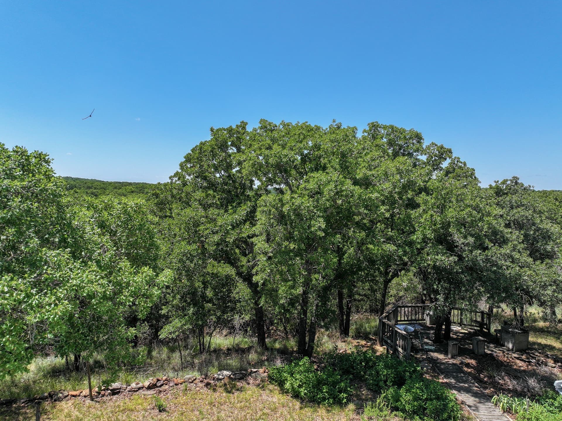 70.15 acres in Jack County - photo 8