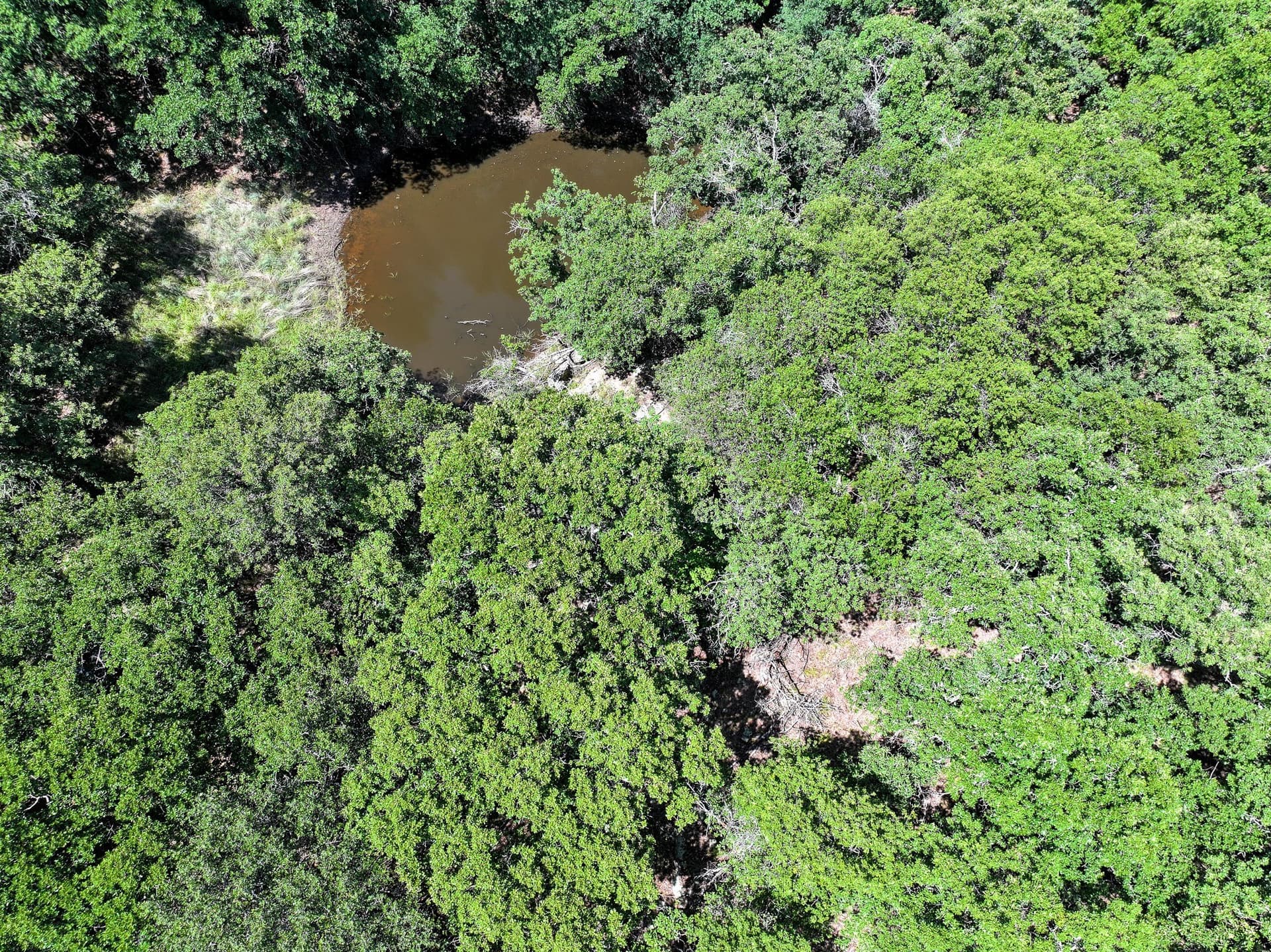 70.15 acres in Jack County - photo 10