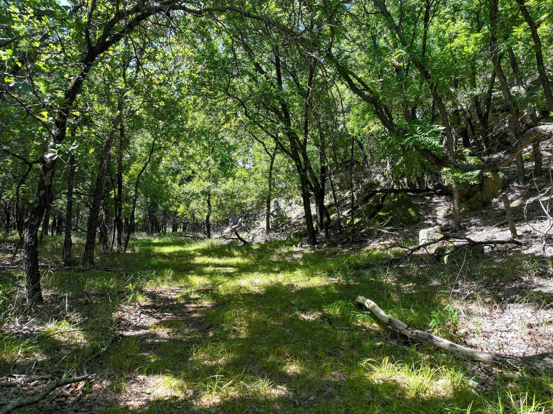 70.15 acres in Jack County - photo 11