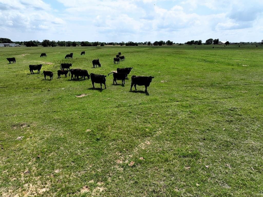 57.51 acres in Van Zandt County - photo 5