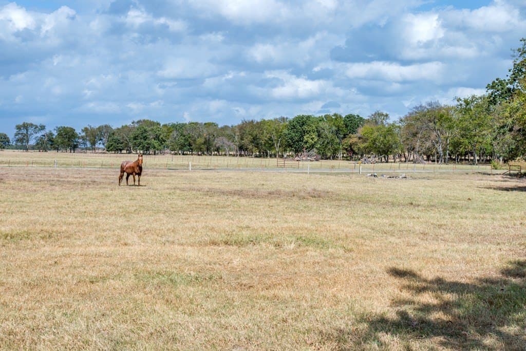 57.51 acres in Van Zandt County - photo 36