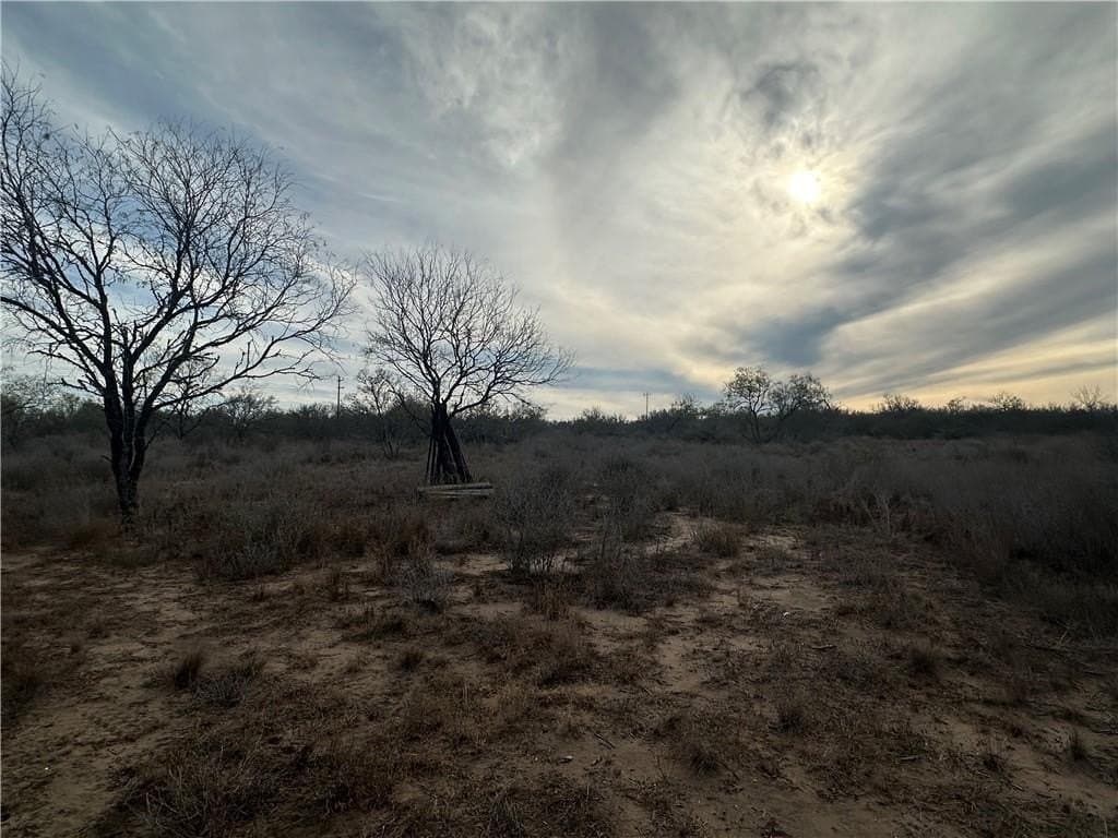 17.69 acres in Live Oak County - photo 6