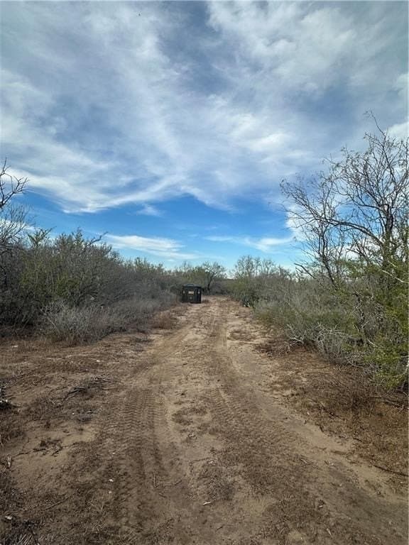 17.69 acres in Live Oak County gallery image 4