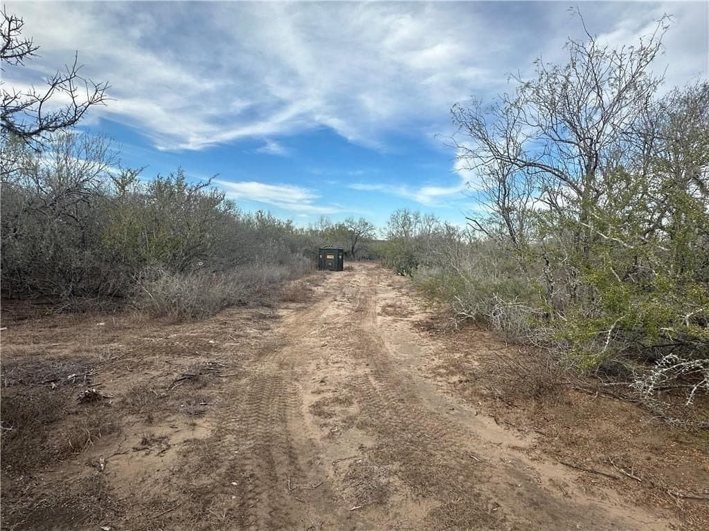 17.69 acres in Live Oak County gallery image 3