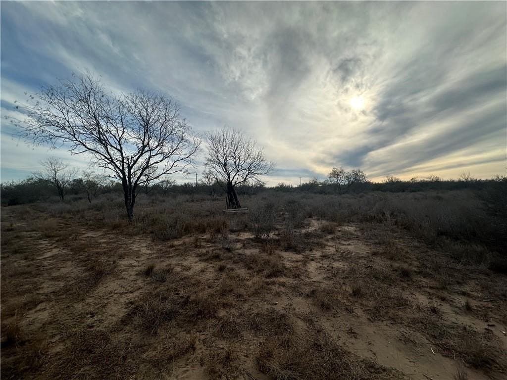 17.69 acres in Live Oak County - photo 7