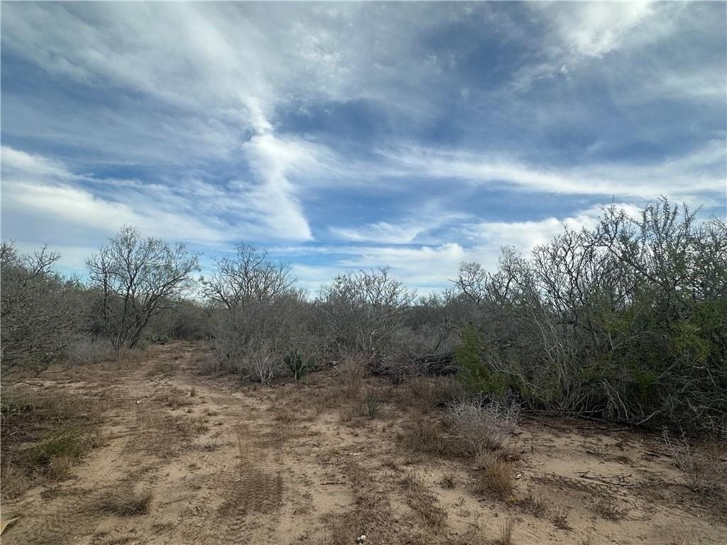 17.69 acres in Live Oak County featured view