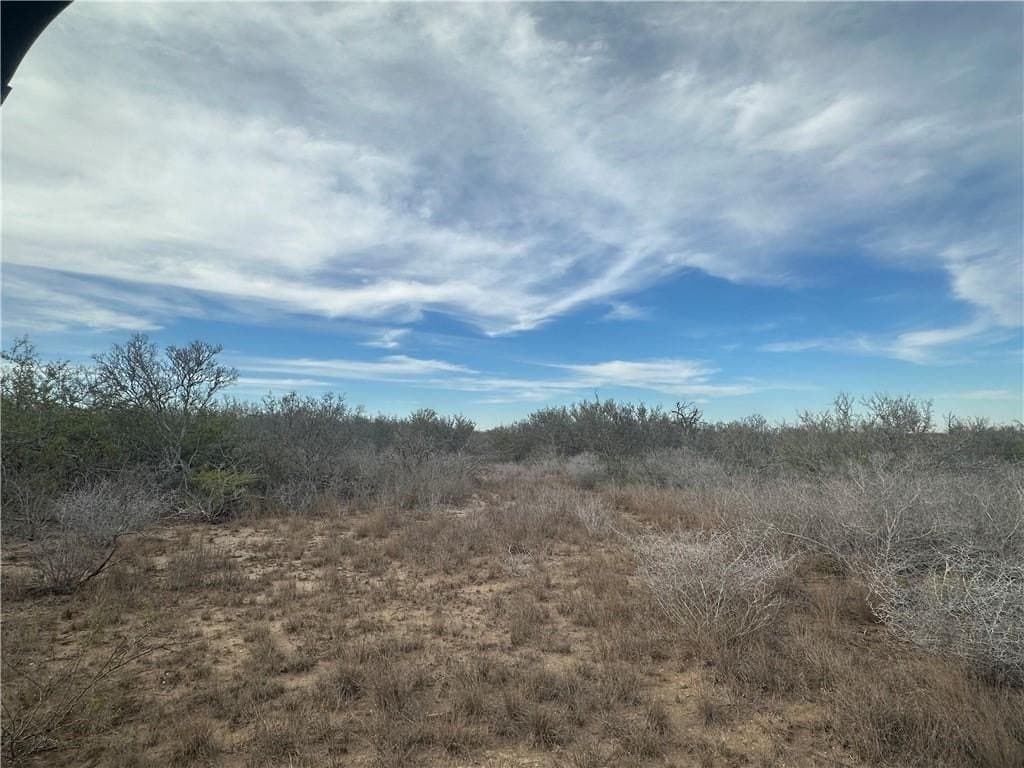 17.69 acres in Live Oak County - photo 8