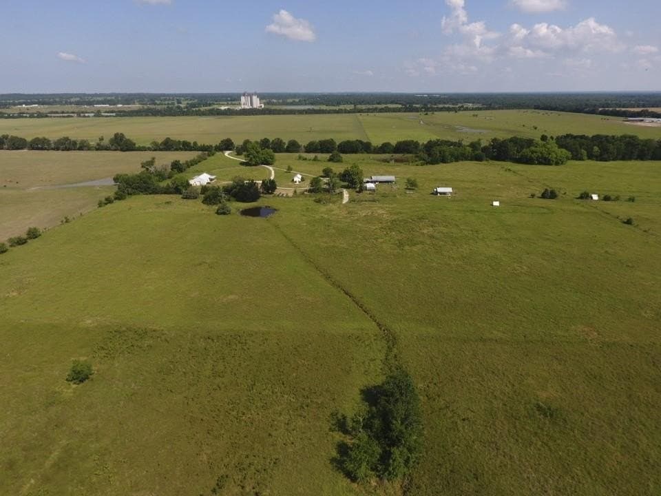61.84 acres in LEON County - photo 44