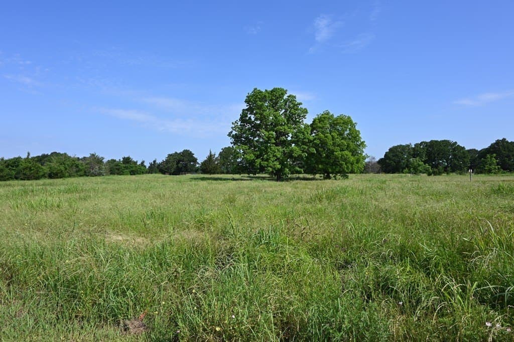 61.84 acres in LEON County - photo 20