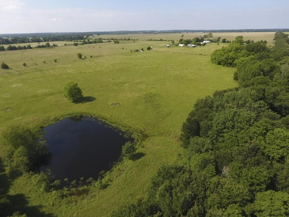 61.84 acres in LEON County - photo 46
