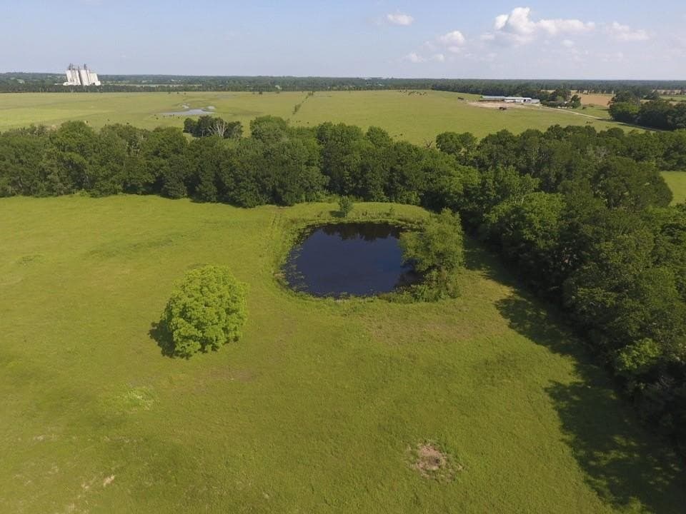 61.84 acres in LEON County - photo 47