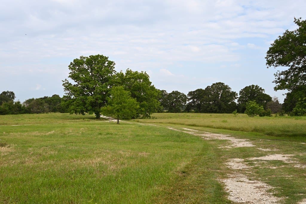 61.84 acres in LEON County gallery image 2