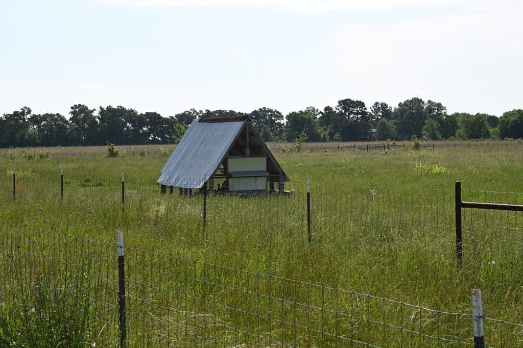 61.84 acres in LEON County - photo 25