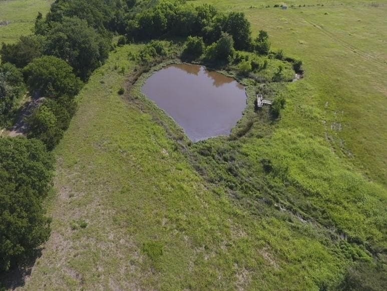 61.84 acres in LEON County - photo 48
