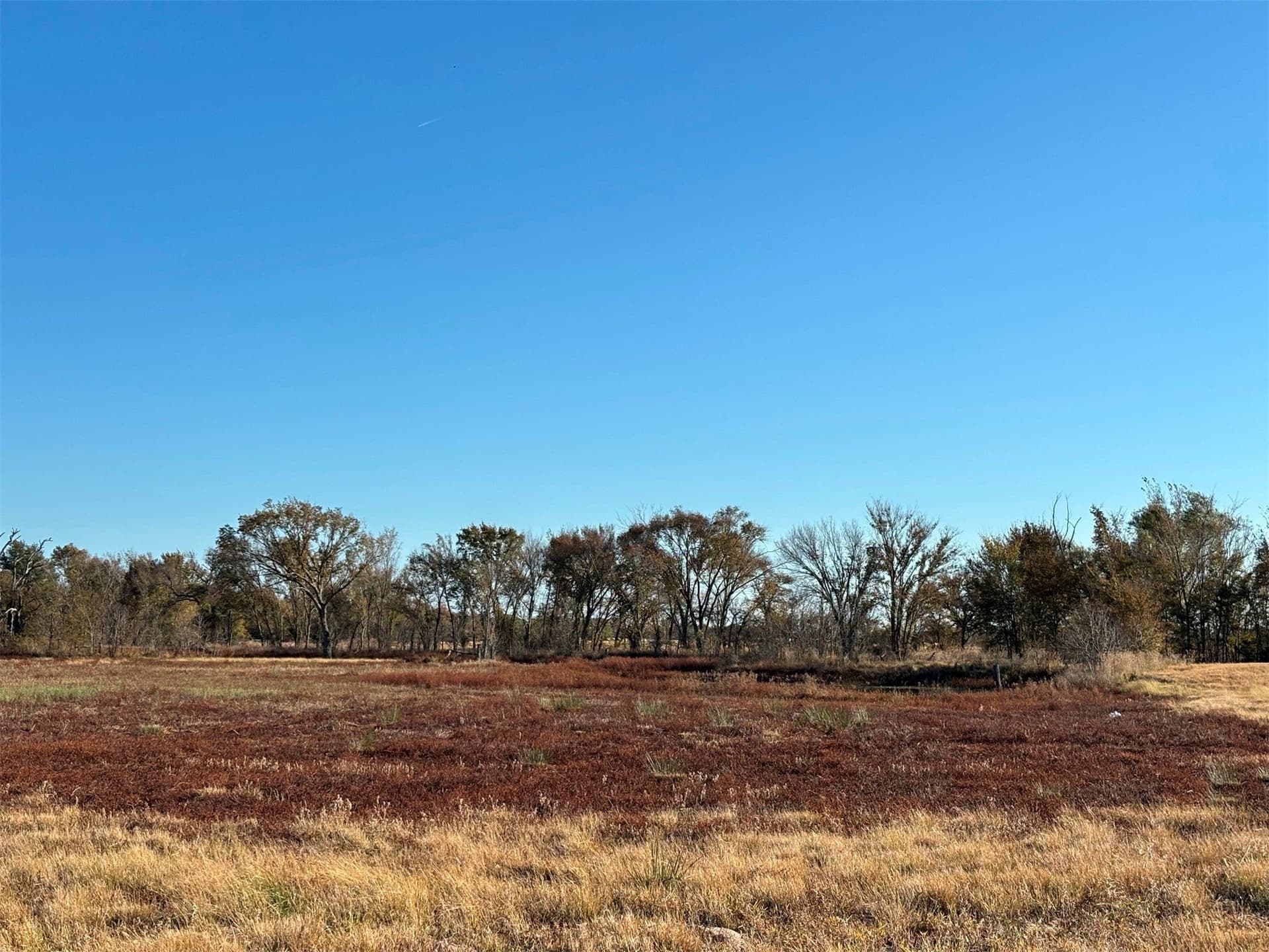 46 acres in Van Zandt County - photo 8