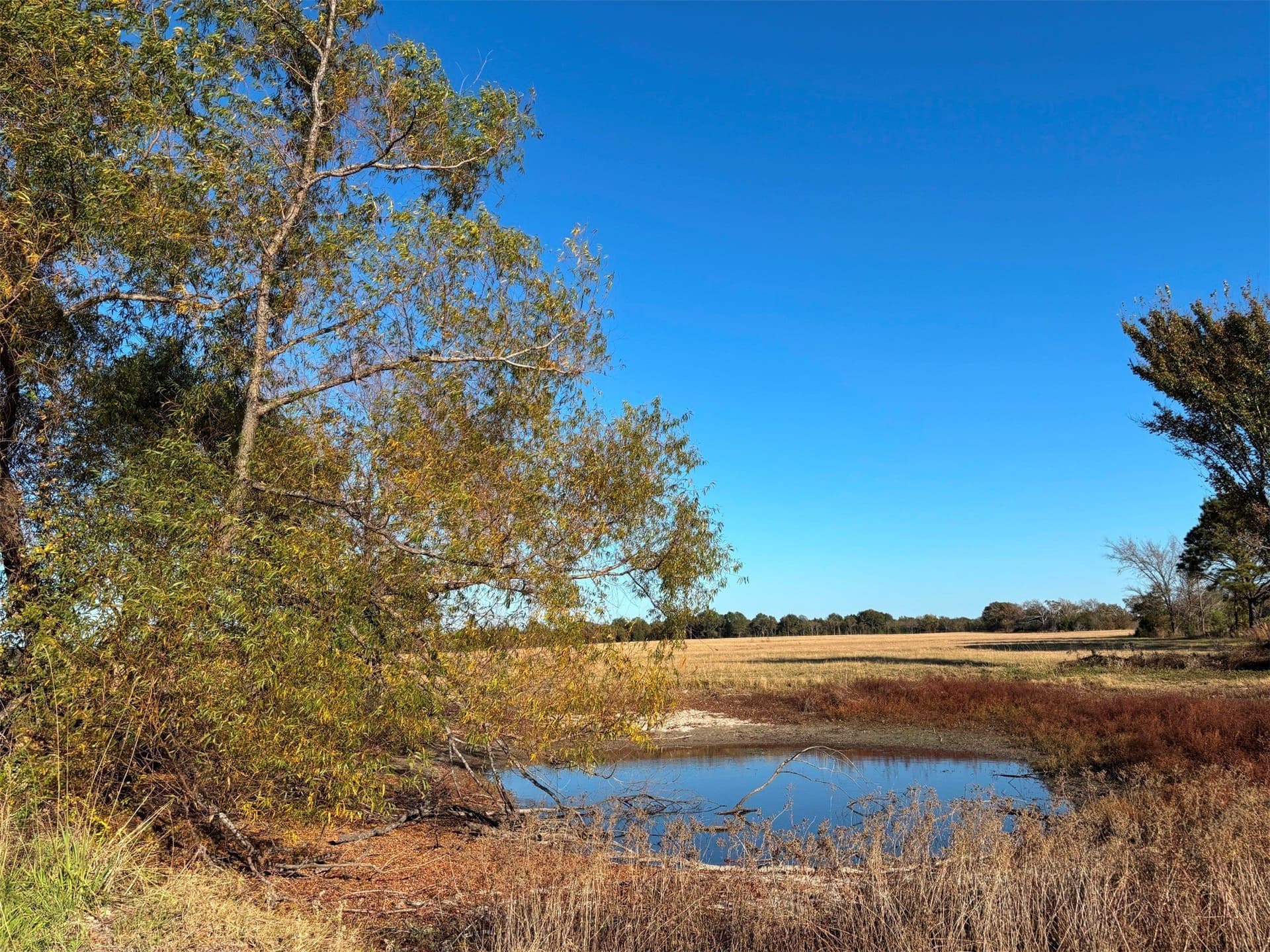 46 acres in Van Zandt County