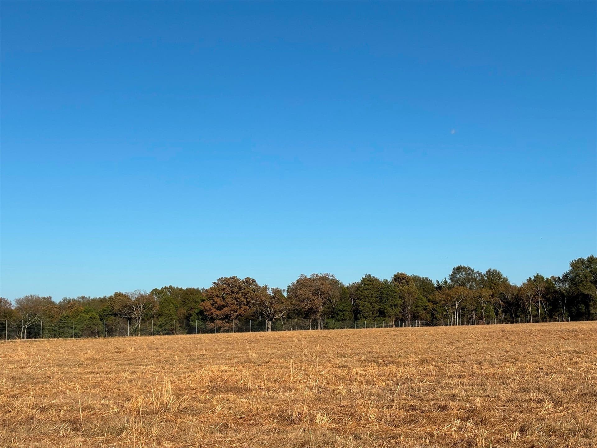 46 acres in Van Zandt County gallery image 3