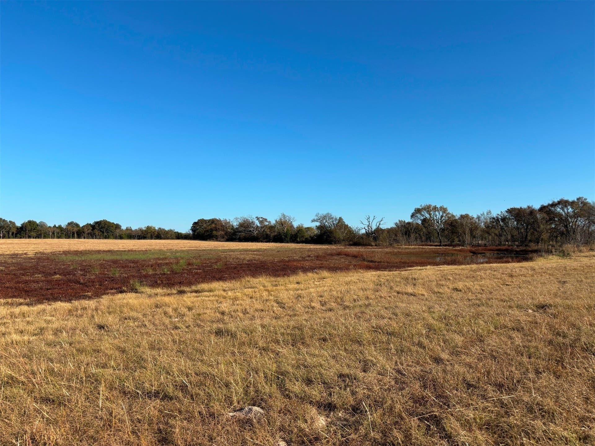 46 acres in Van Zandt County - photo 6
